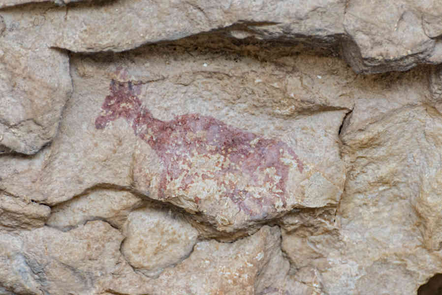 Castelló de la Plana - Ares del Maestrat - cova Remígia 13